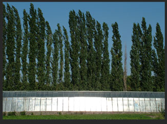 BRQF_060912_02_
