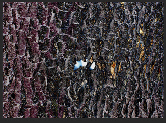 CMDF_050130_08_
