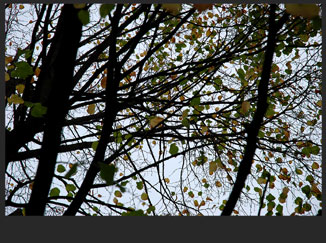 EKTE_081013_01_
